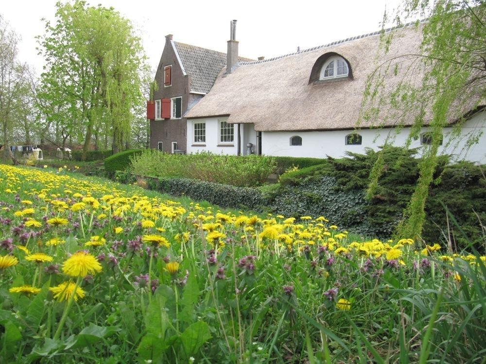 Boerderij Honswijck Guest House Weesp Ngoại thất bức ảnh